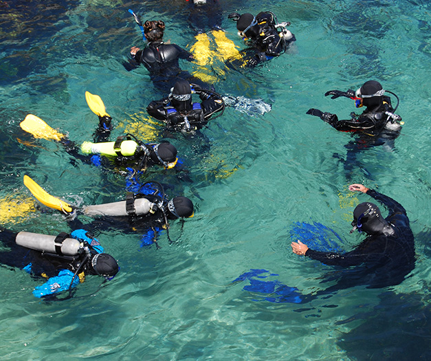 a group of people in scuba gear in water