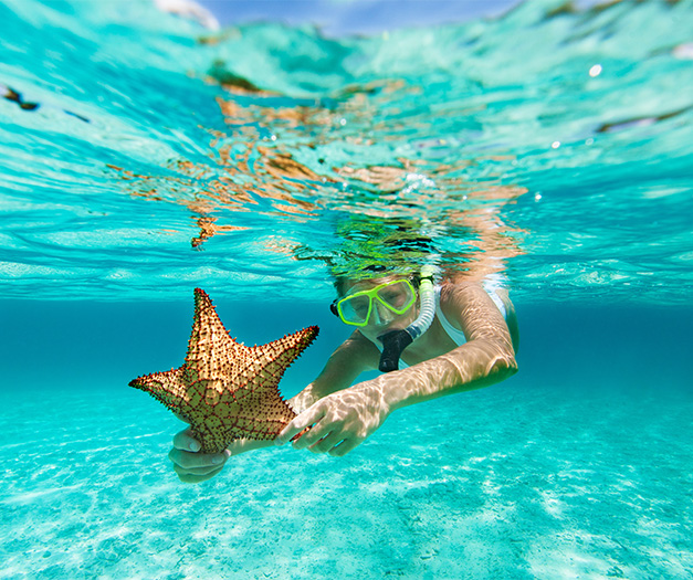 a woman in snorkeling mask holding a starfish