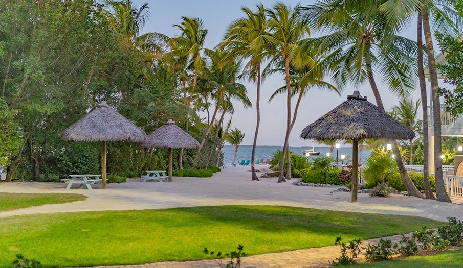 a beach with palm trees and umbrellas