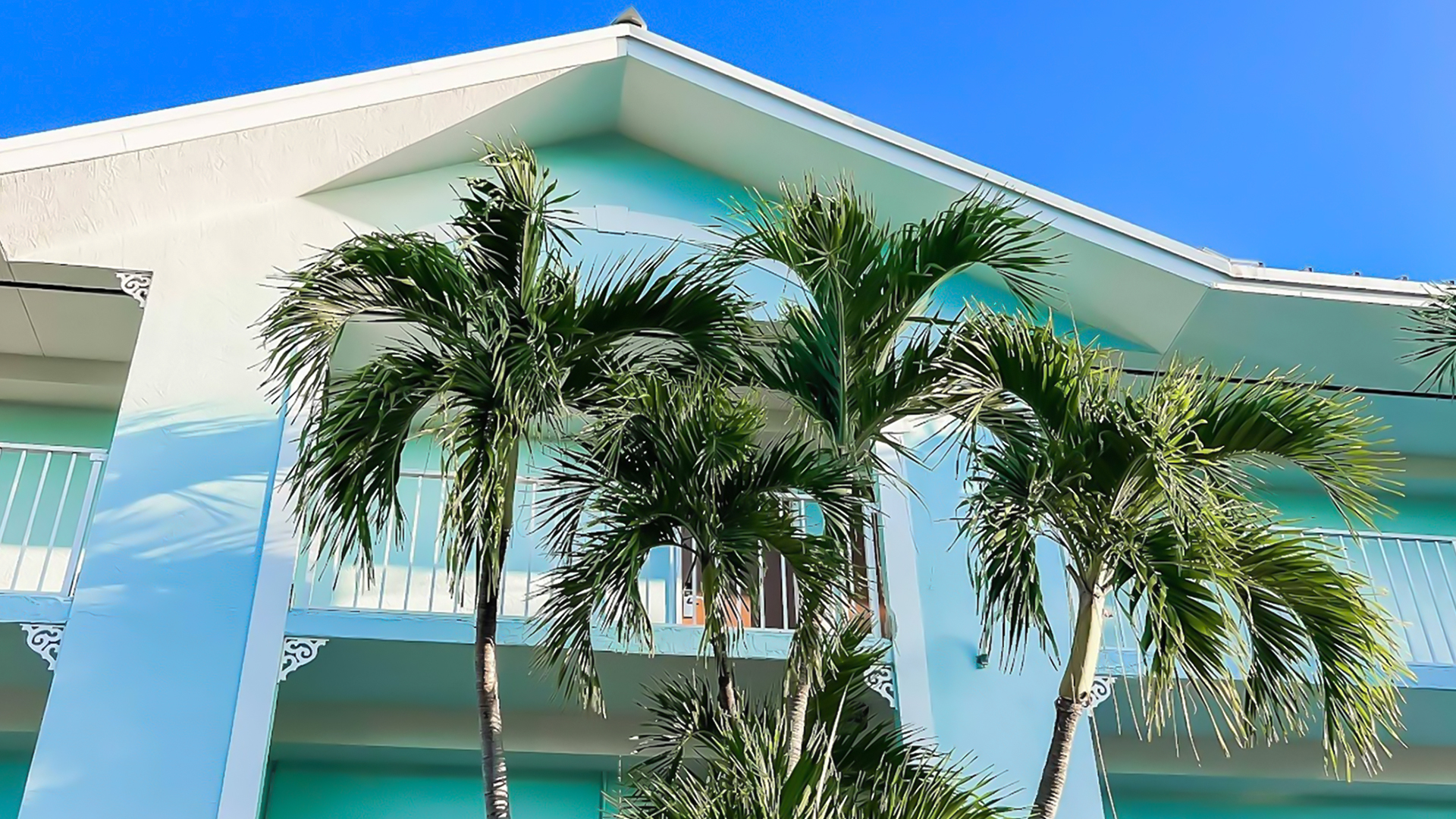 palm trees in front of a building