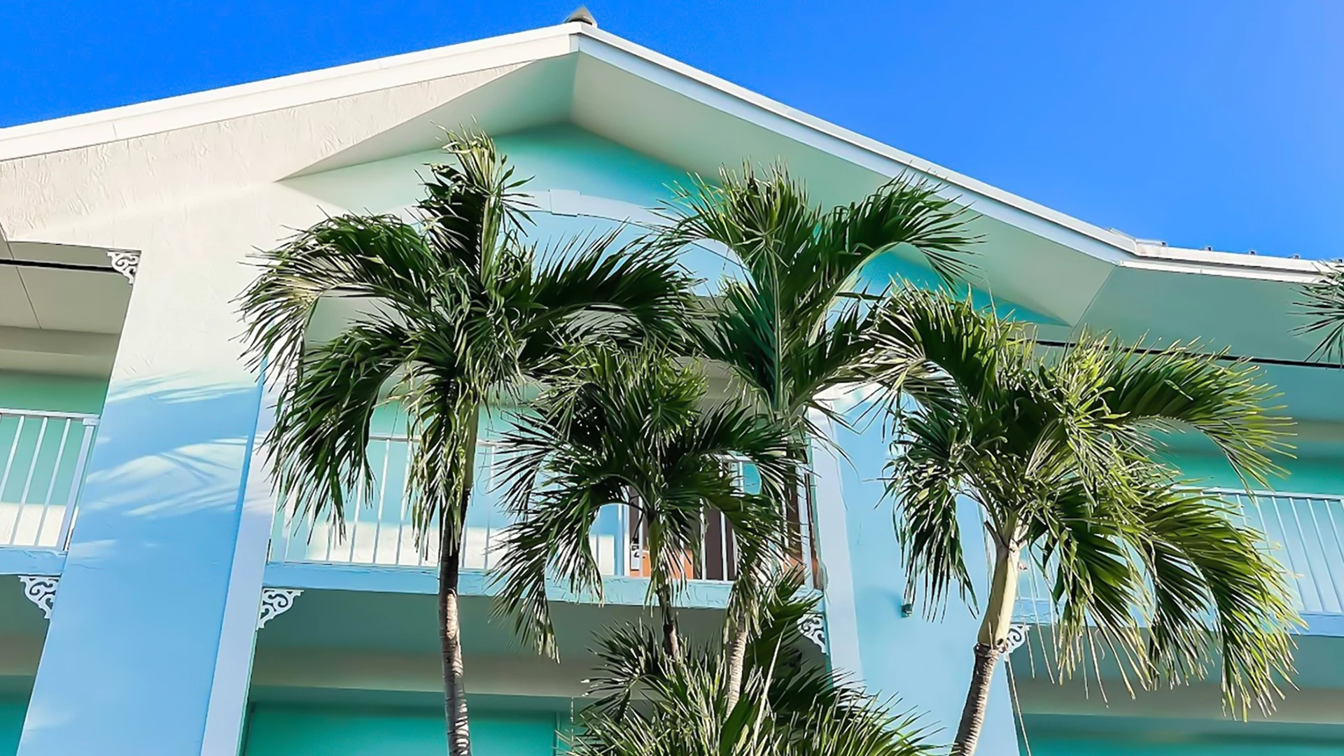 palm trees in front of a building