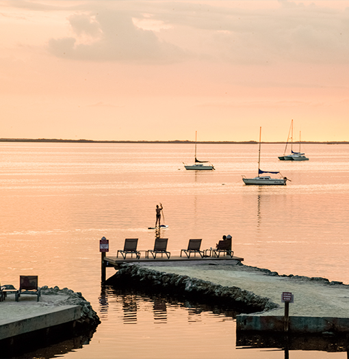 a person on a paddle board in the water