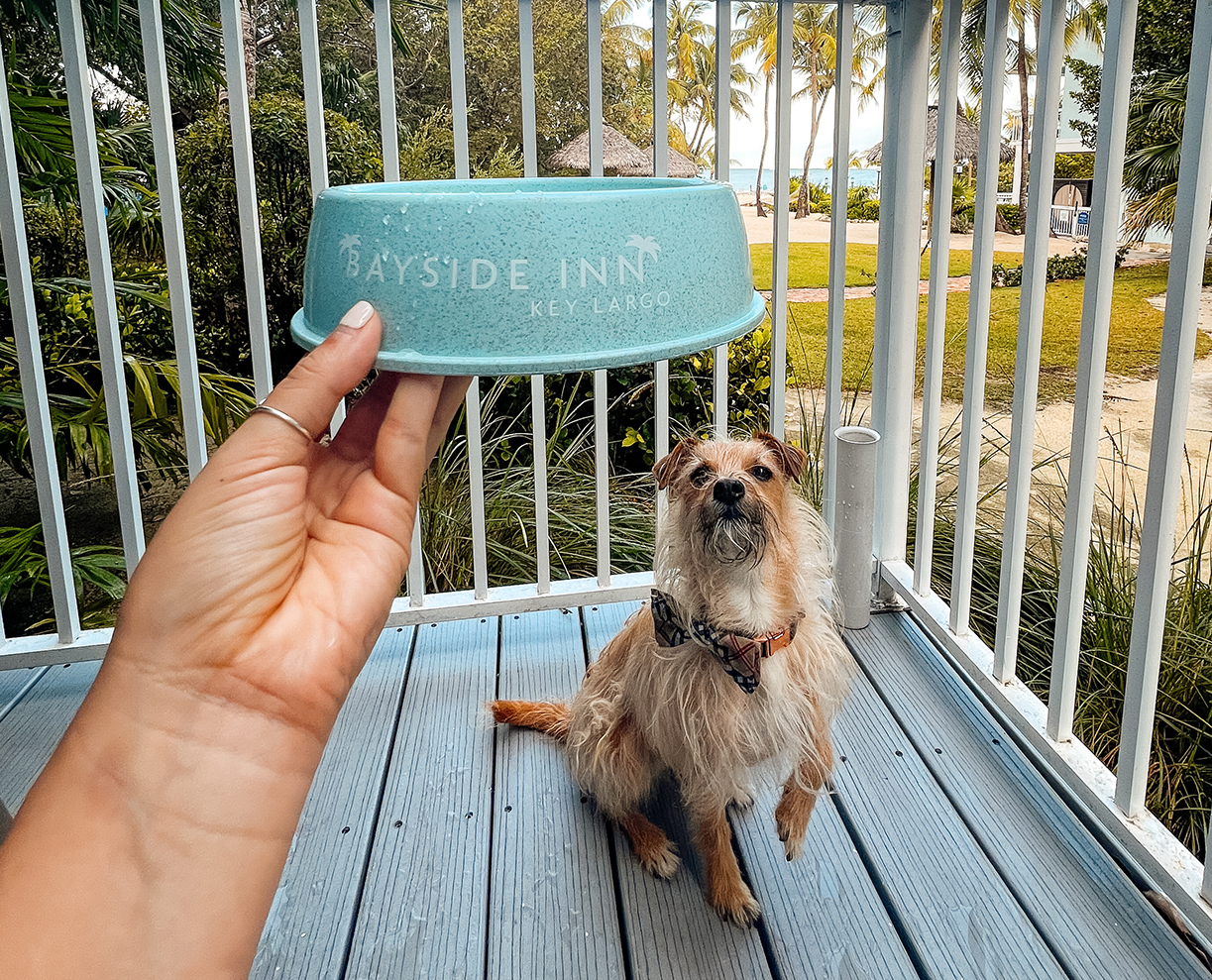 a hand holding a bowl of food on a porch