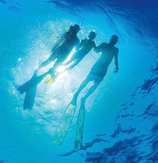 a group of people swimming underwater