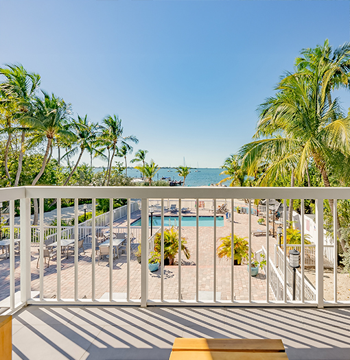 a deck with a pool and palm trees
