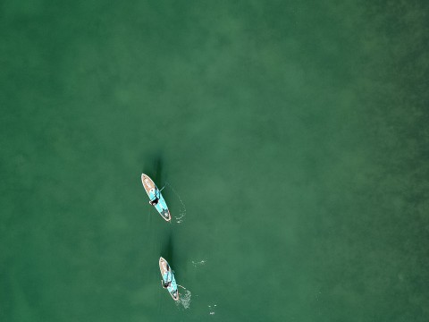 a couple of people paddling on a body of water