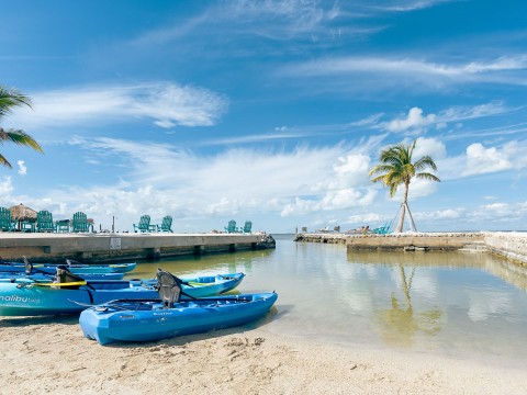 a group of kayaks on a beach