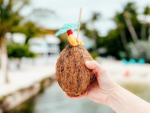 a hand holding a coconut with a straw and an umbrella on it