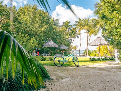 a bicycle parked on a dirt path with trees and grass