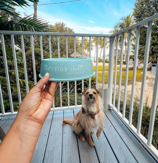 a hand holding a bowl of food on a porch