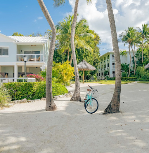 a bicycle parked in a sandy area with palm trees and buildings