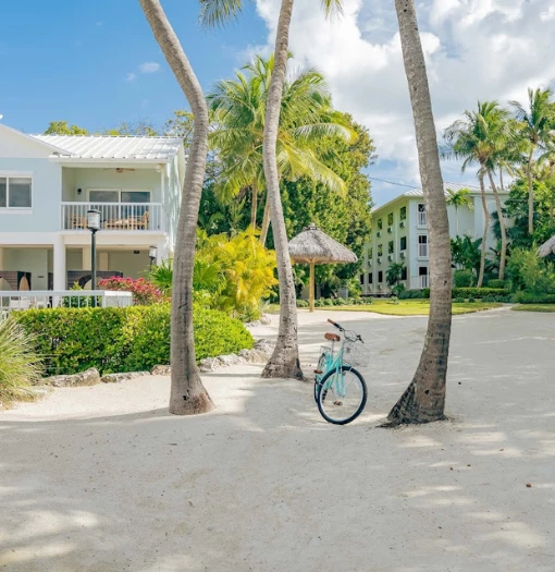 a bicycle parked in a sandy area with palm trees and buildings