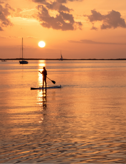 a person on a paddle board in the water