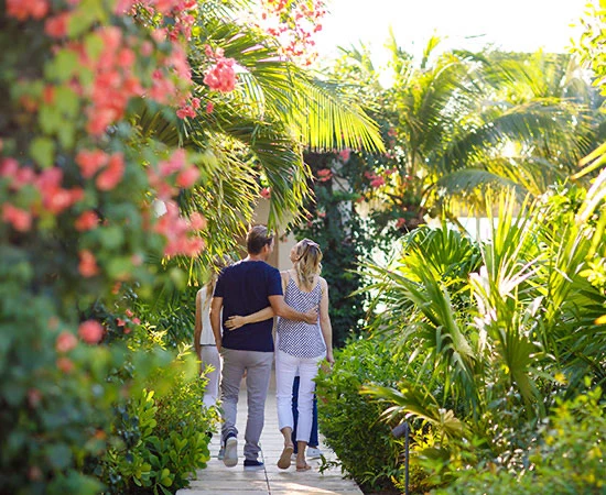 a man and woman walking on a path through a tropical area