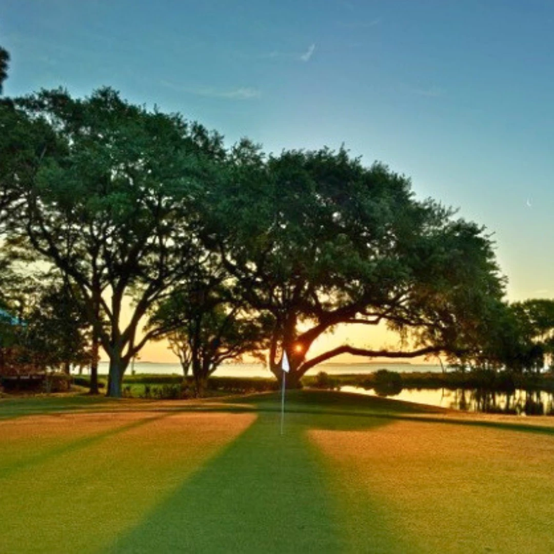 a golf course with a flag and trees