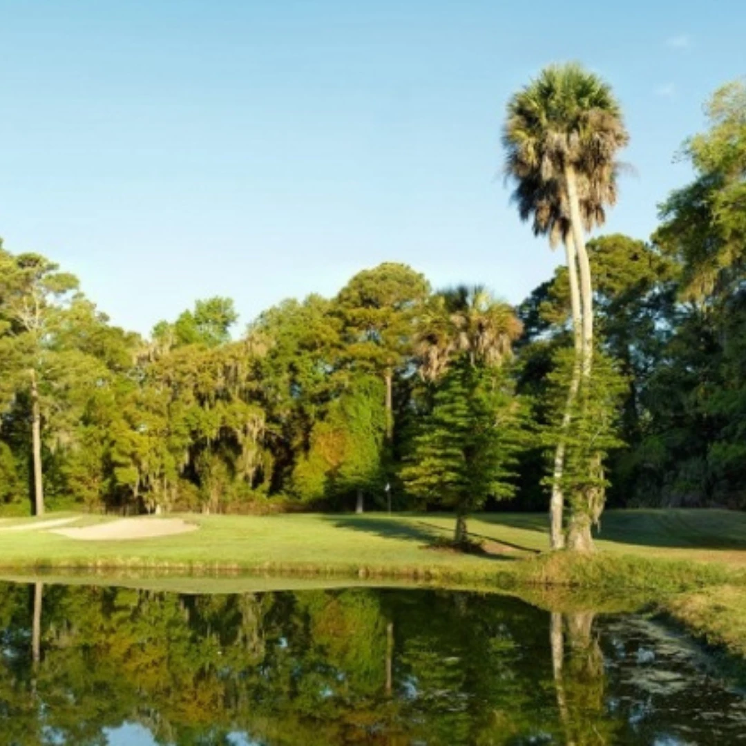 a golf course with a pond and palm trees