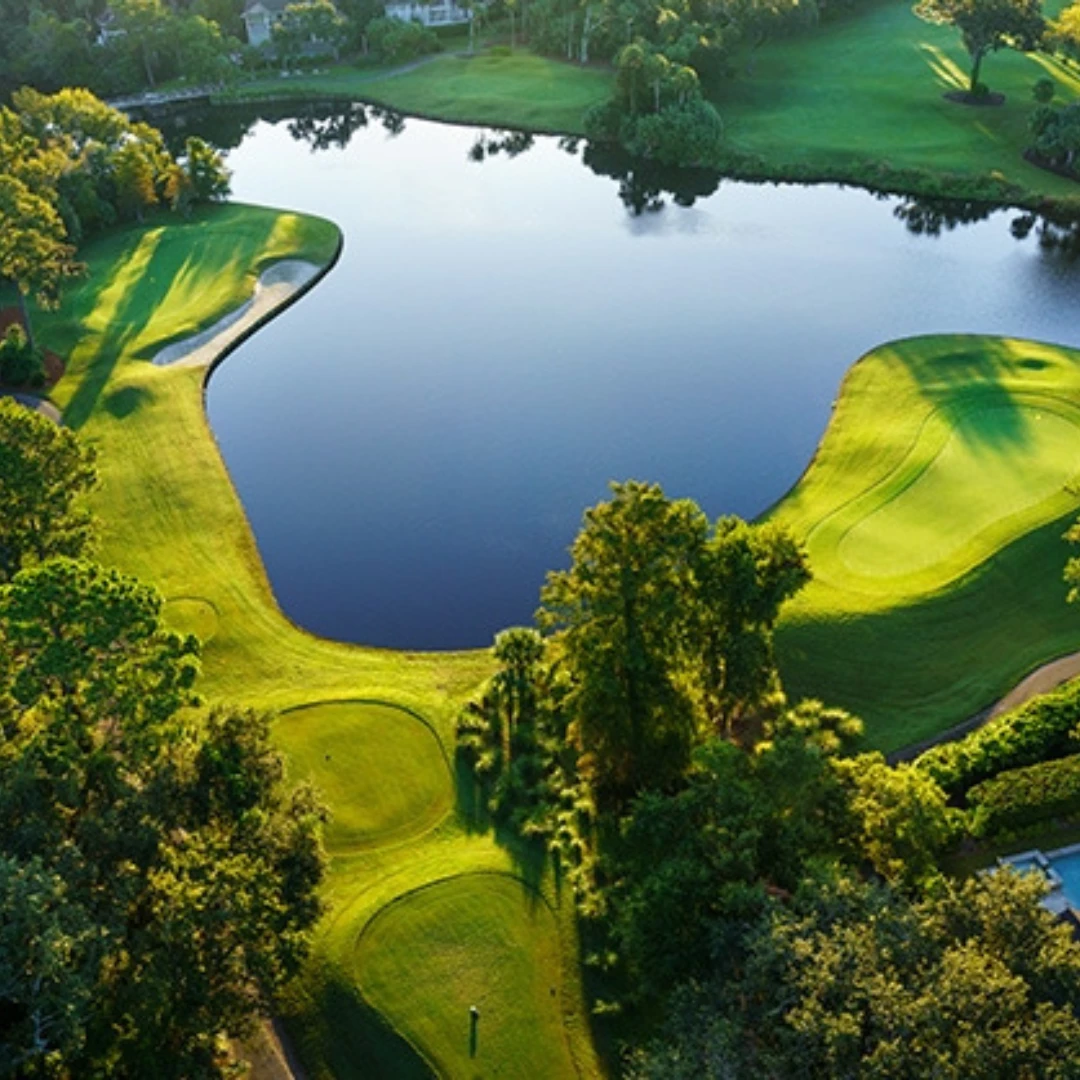 a lake surrounded by trees and grass