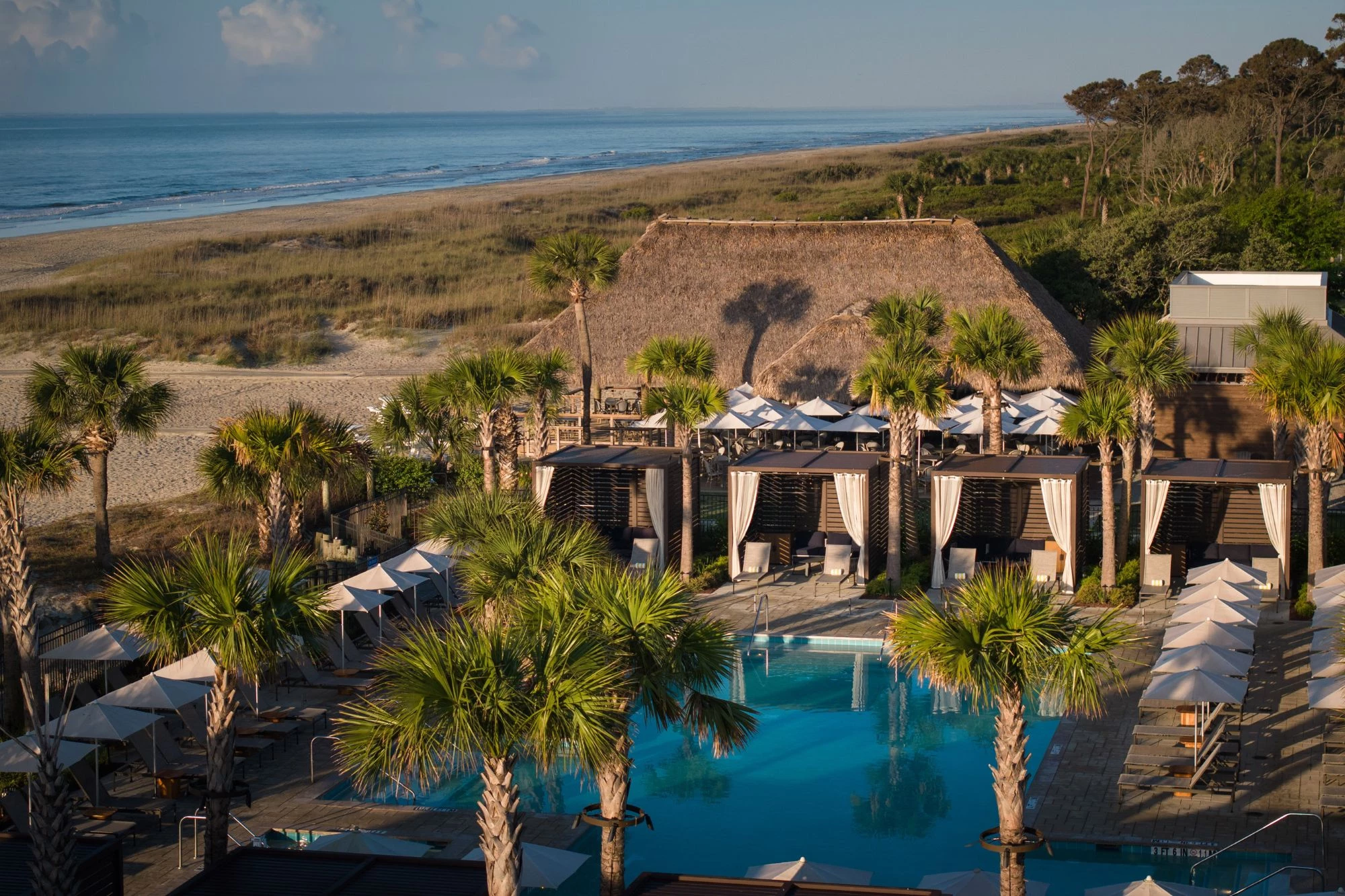  a pool with palm trees and a beach in the background