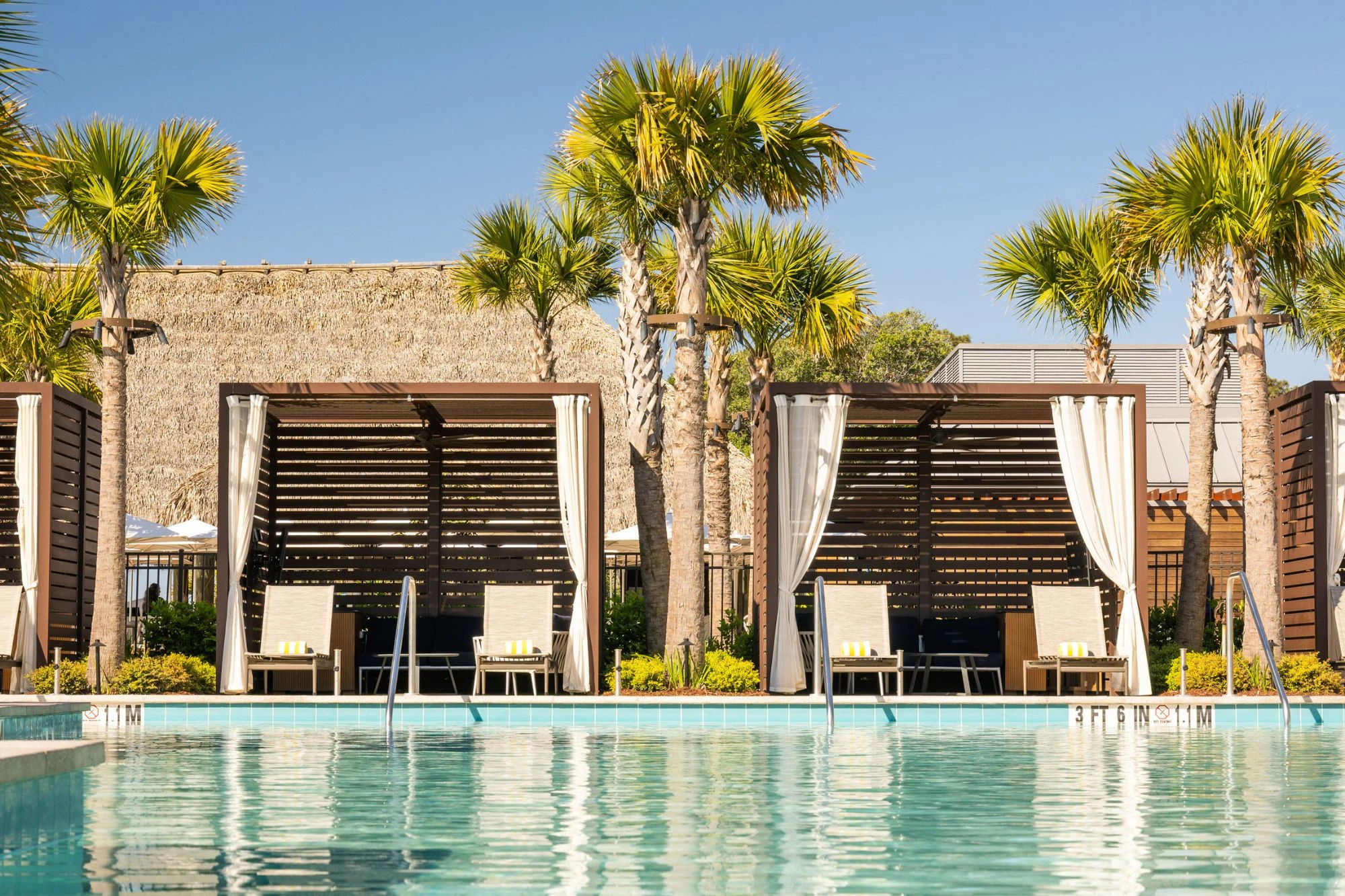  a pool with chairs and palm trees