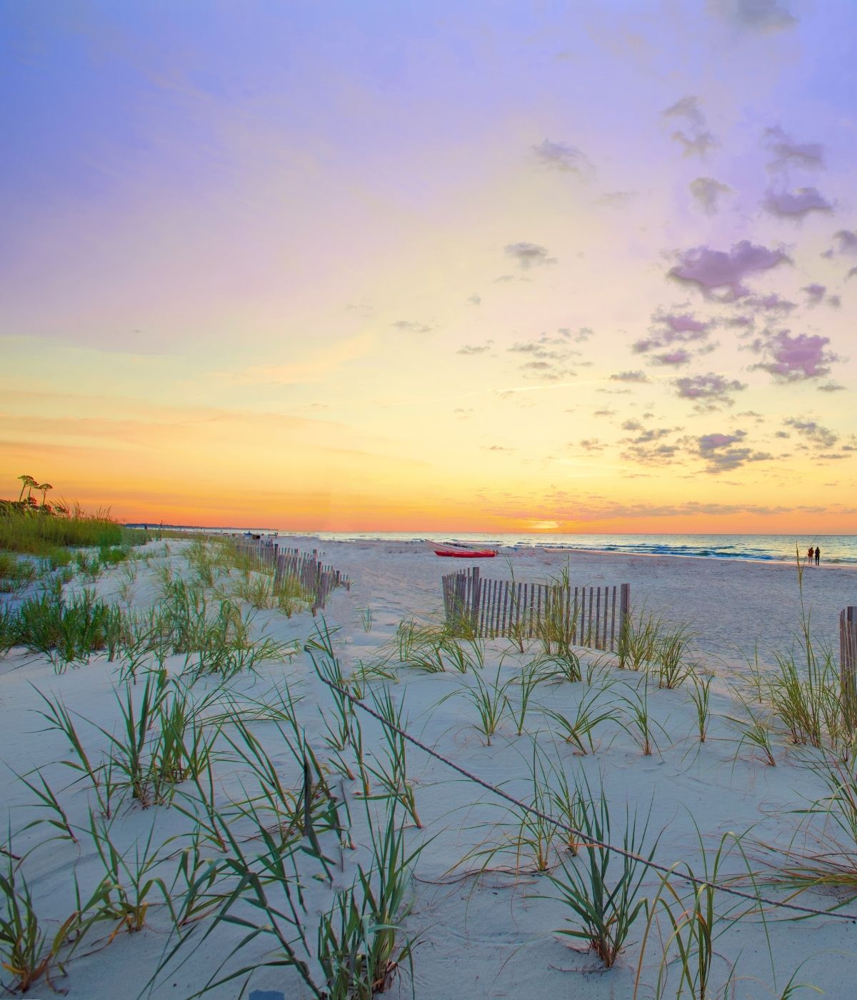 a beach with grass and a boat in the distance