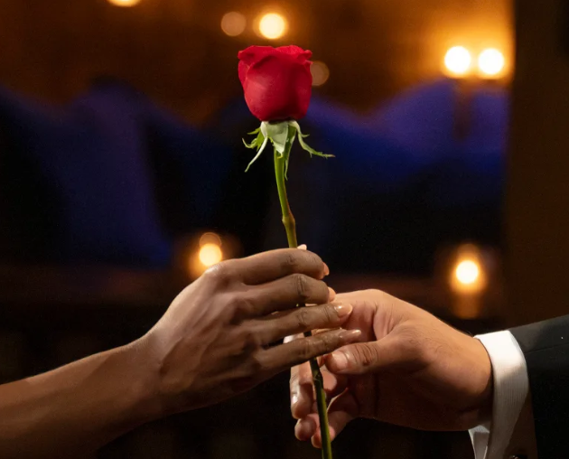 a person holding a rose