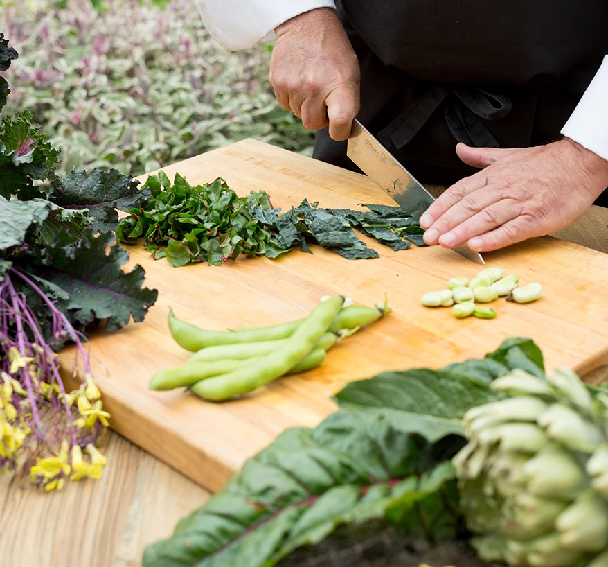 a person cutting vegetables on a cutting board