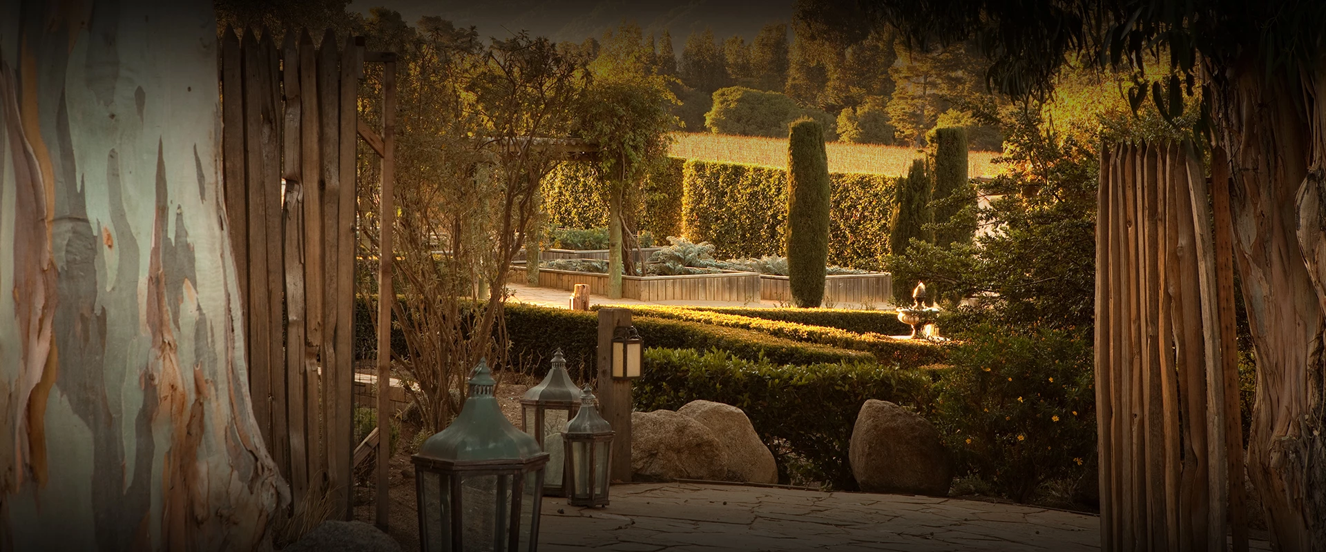 a garden with a path and bushes