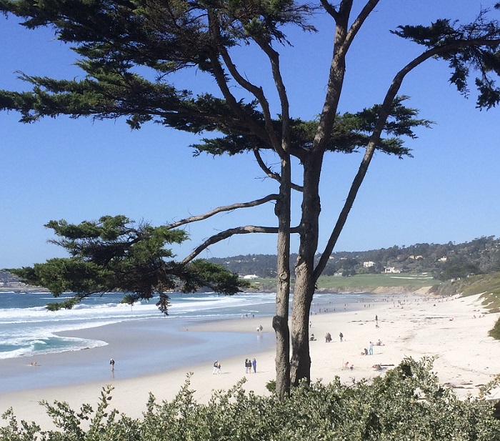 Carmel Beach