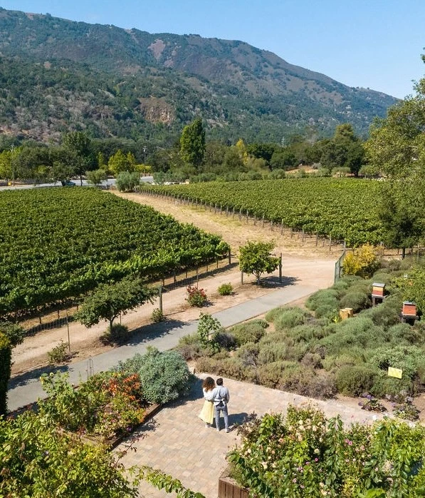 a couple standing in a garden