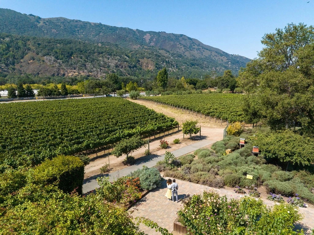a couple standing in a garden