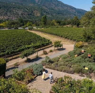 a man and woman holding hands in a garden