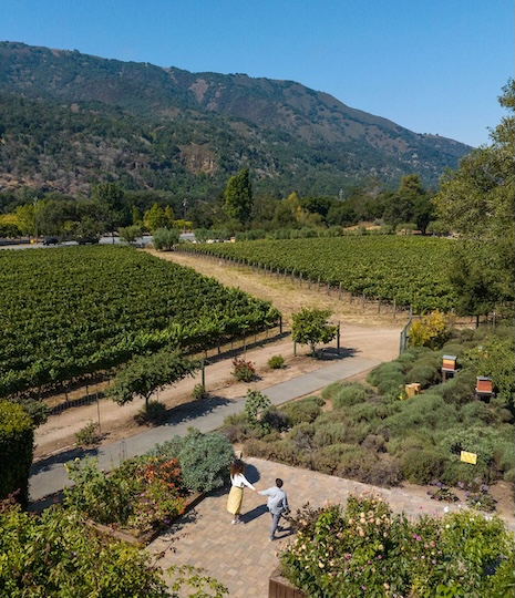 a man and woman holding hands in a garden