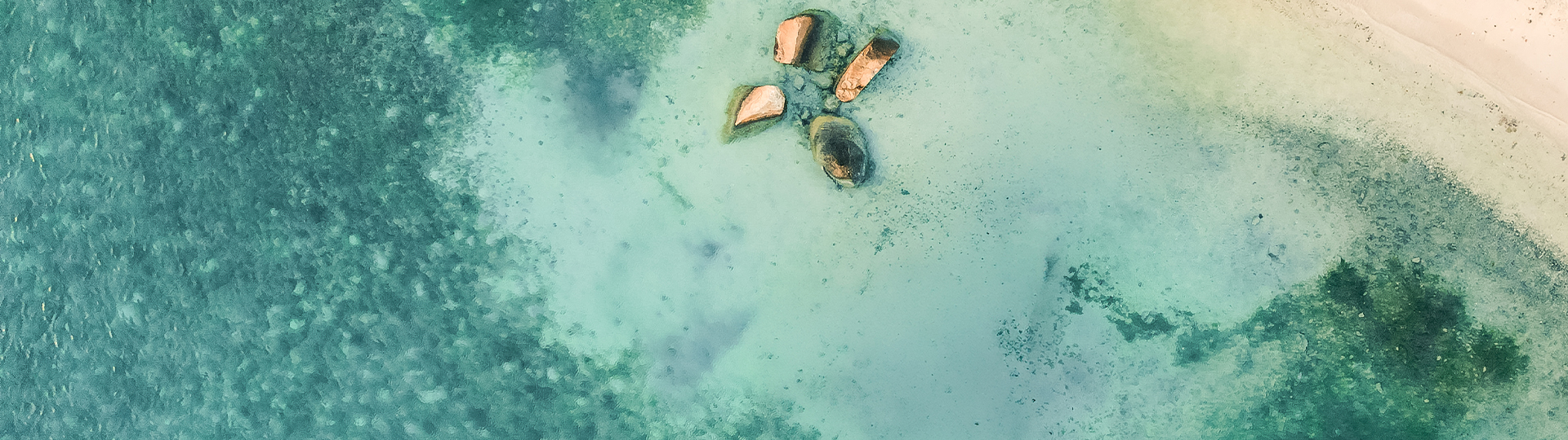 a group of rocks in the water