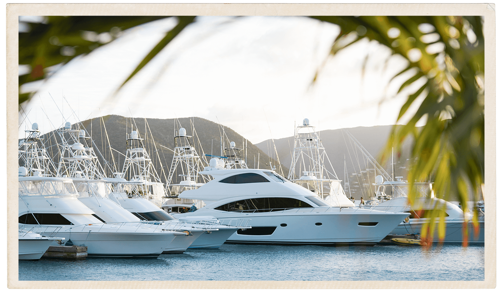 a group of white boats in a harbor