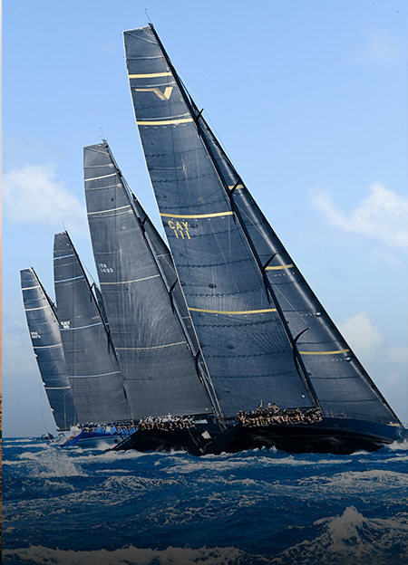 a group of sailboats on the water