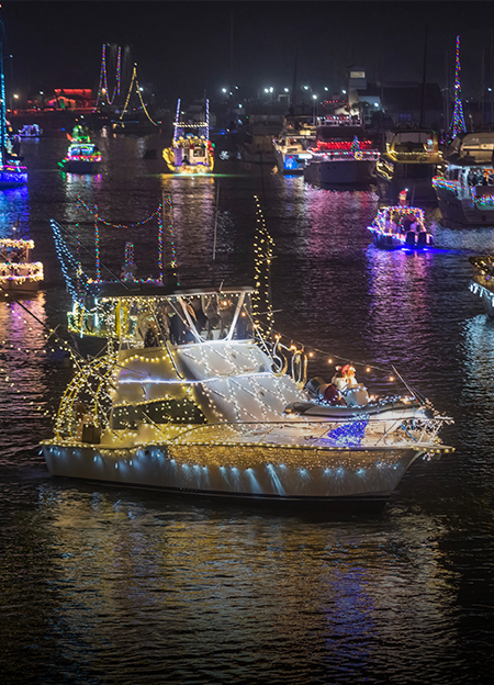 boats in a harbor with lights