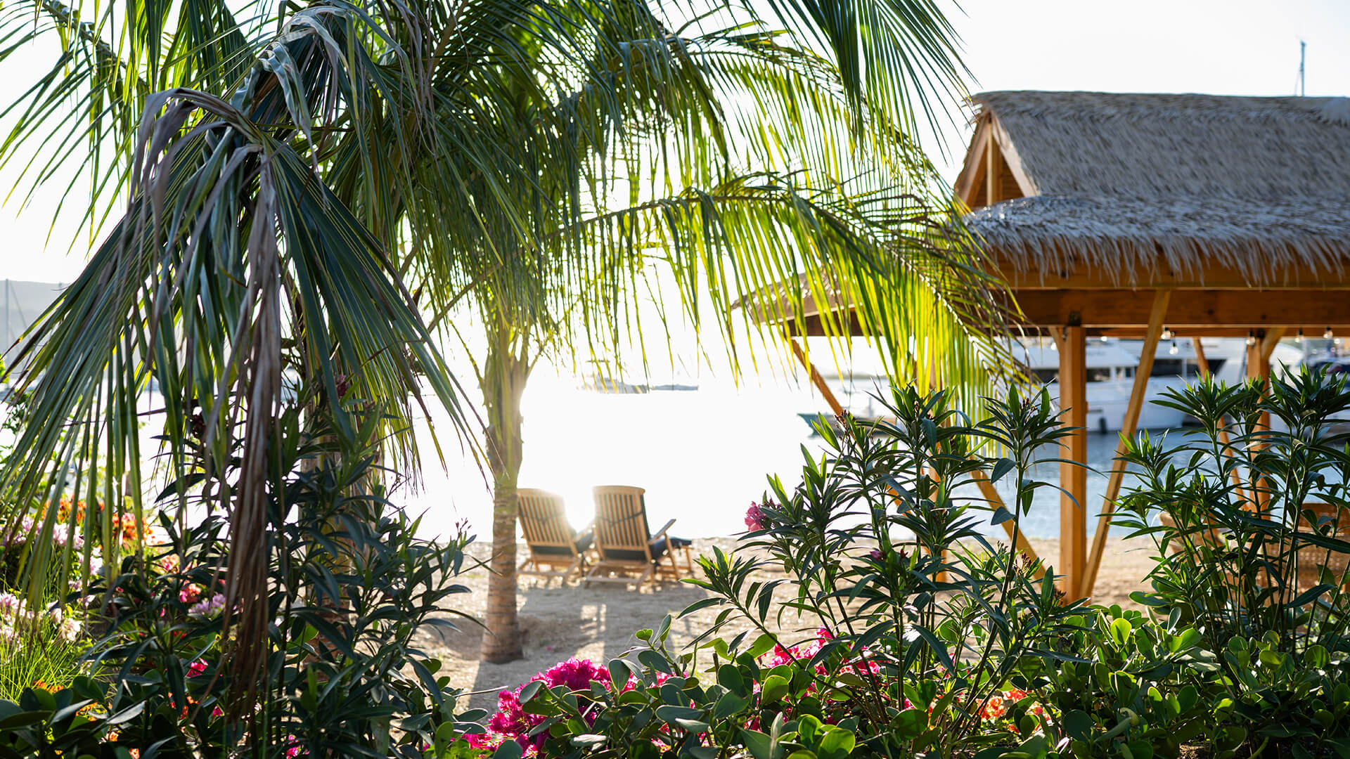 a palm trees and chairs on a beach