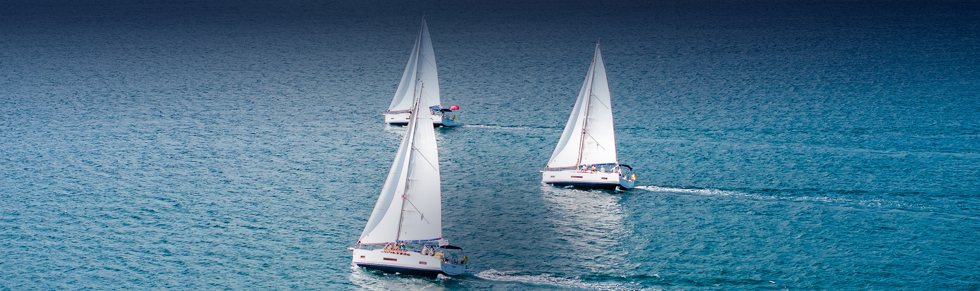 a group of sailboats on the water