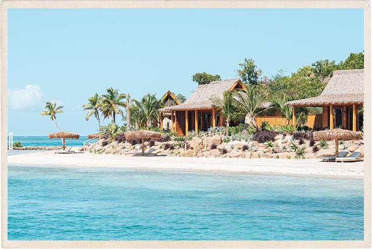 a beach with a hut and palm trees