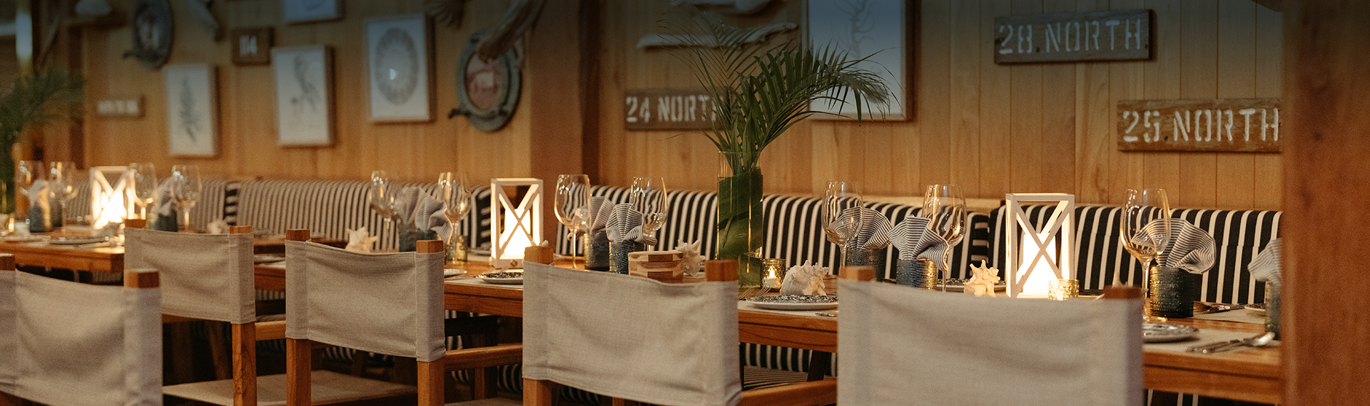 a table with a plant on it