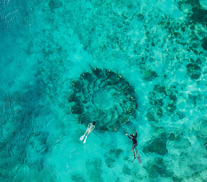 people snorkeling in the water