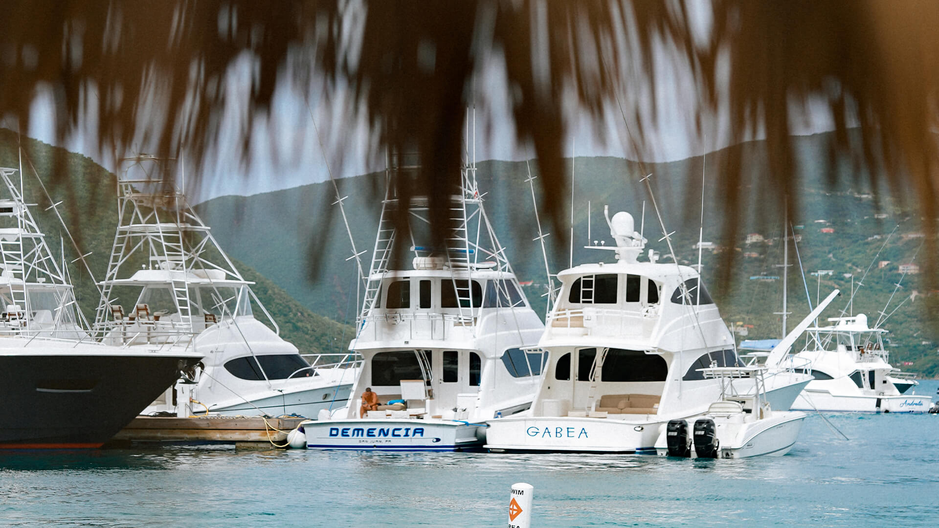 a group of white boats on water