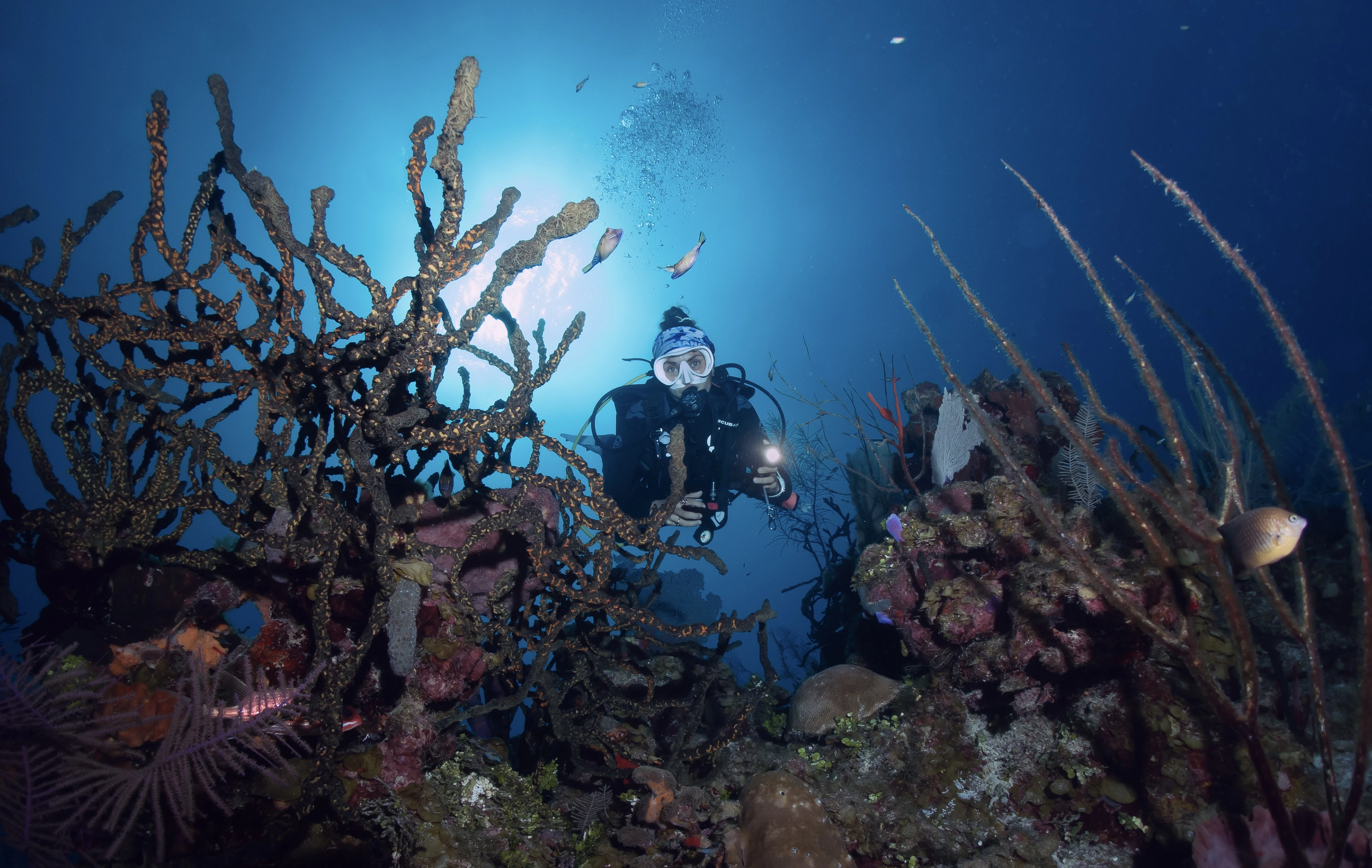 a person in scuba gear underwater