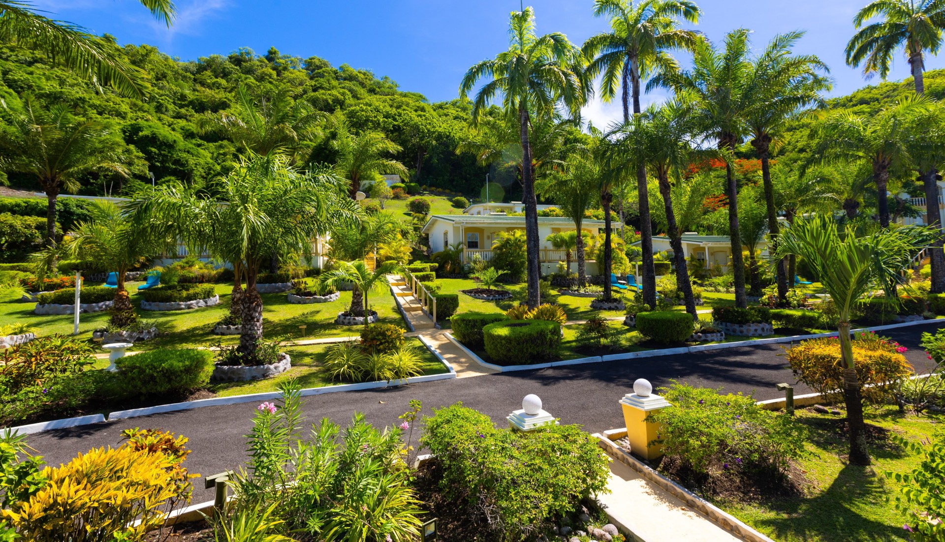 a house with palm trees and bushes