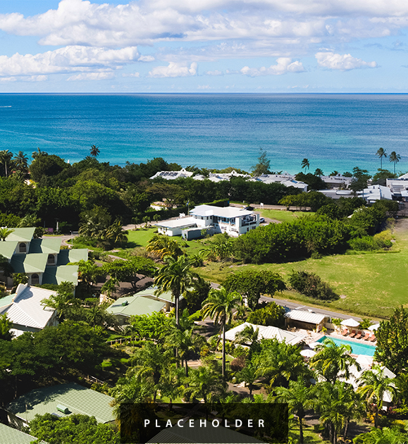 a group of houses and trees by the ocean