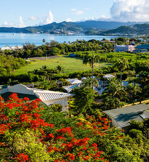 a landscape with trees and buildings and water in the background