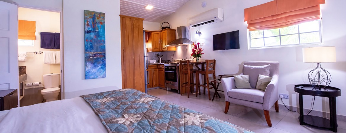 a kitchen and living room with a bed and a tv