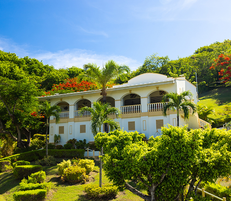 a white house with trees and bushes
