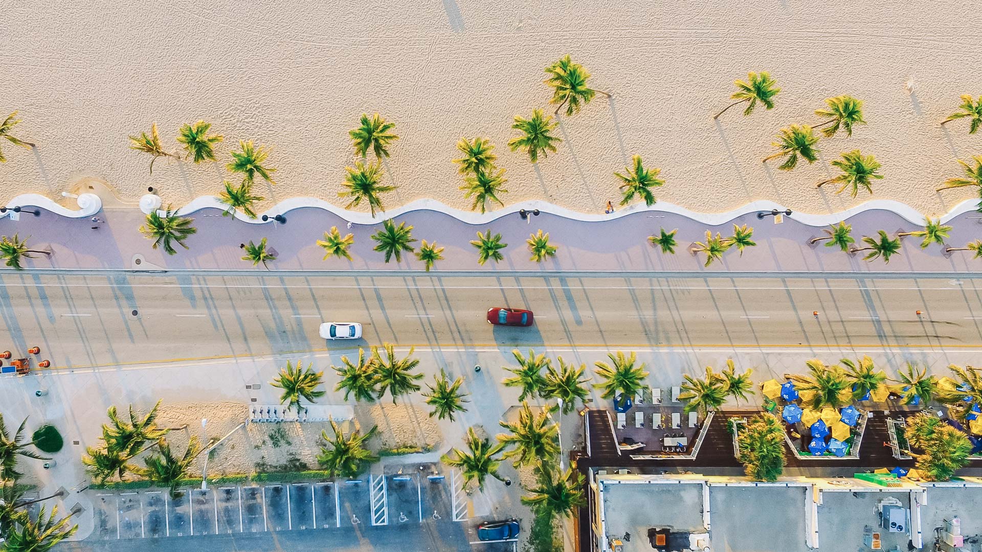 a road with palm trees and a parking lot
