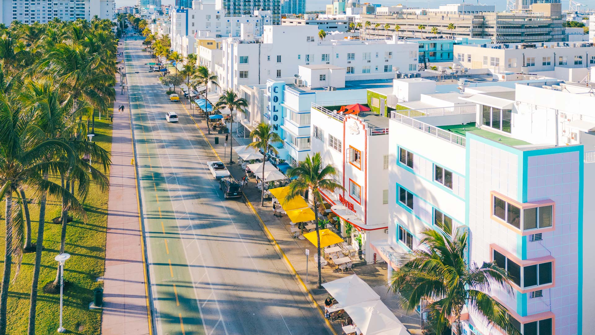 a street with palm trees and buildings